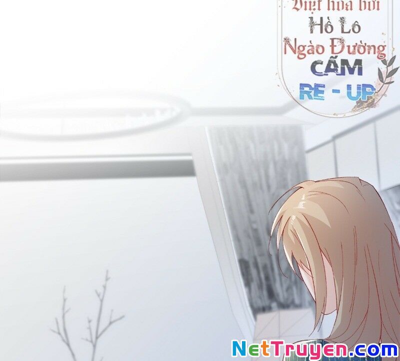 Ảnh Đế Yêu Hồ Chapter 31 - Trang 2