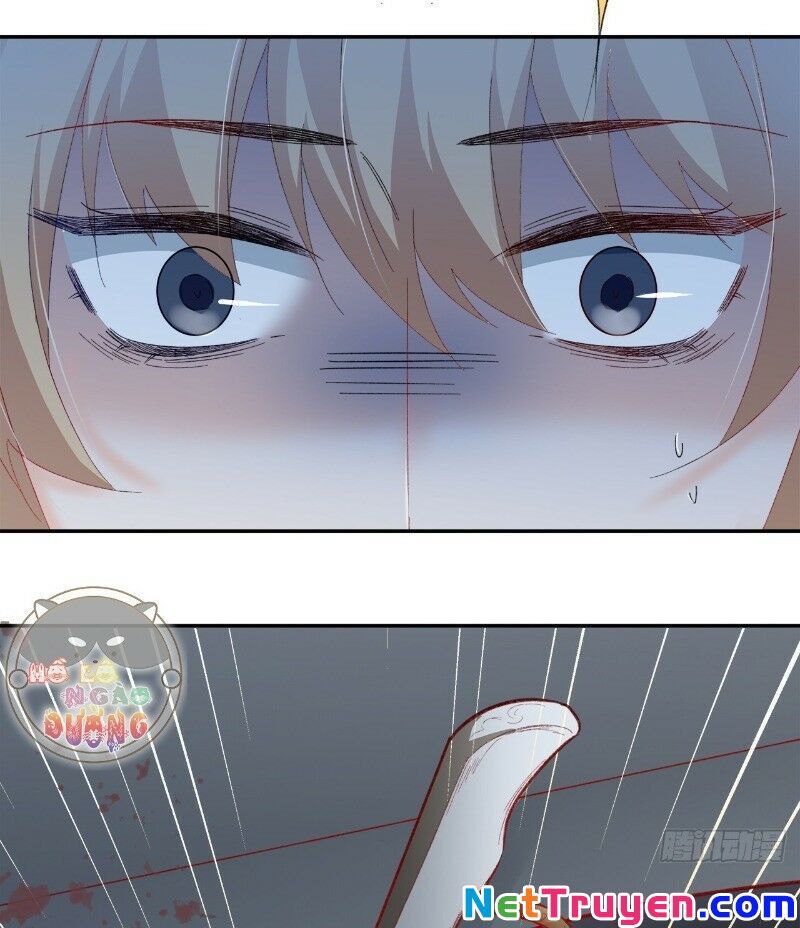 Ảnh Đế Yêu Hồ Chapter 31 - Trang 2