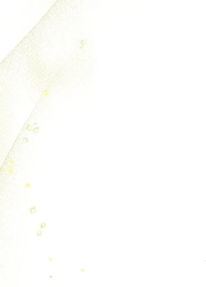 Anh Em Của Tôi Đều Là Nhân Vật Chính Chapter 12 - Trang 2