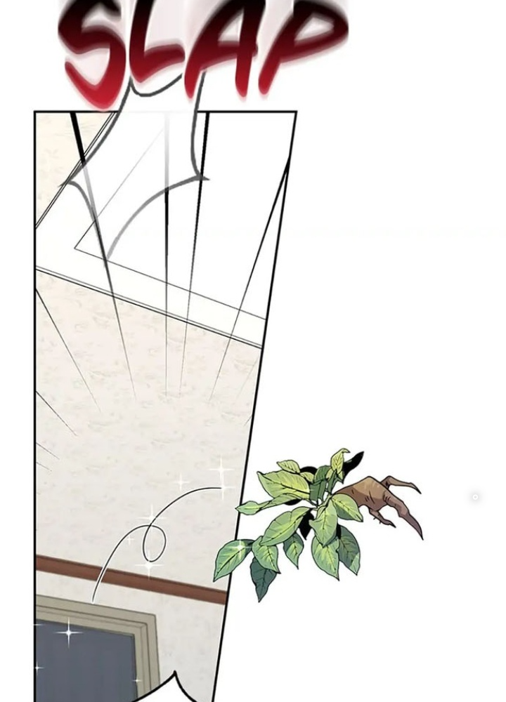 Anh Em Của Tôi Đều Là Nhân Vật Chính Chapter 19 - Trang 2