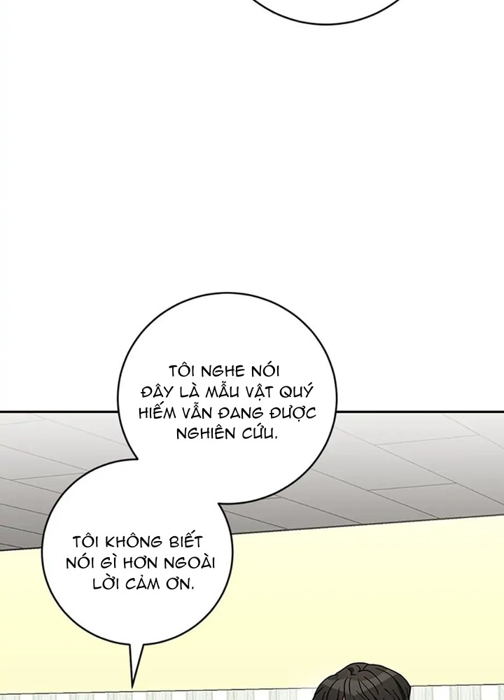 Anh Em Của Tôi Đều Là Nhân Vật Chính Chapter 21 - Trang 2