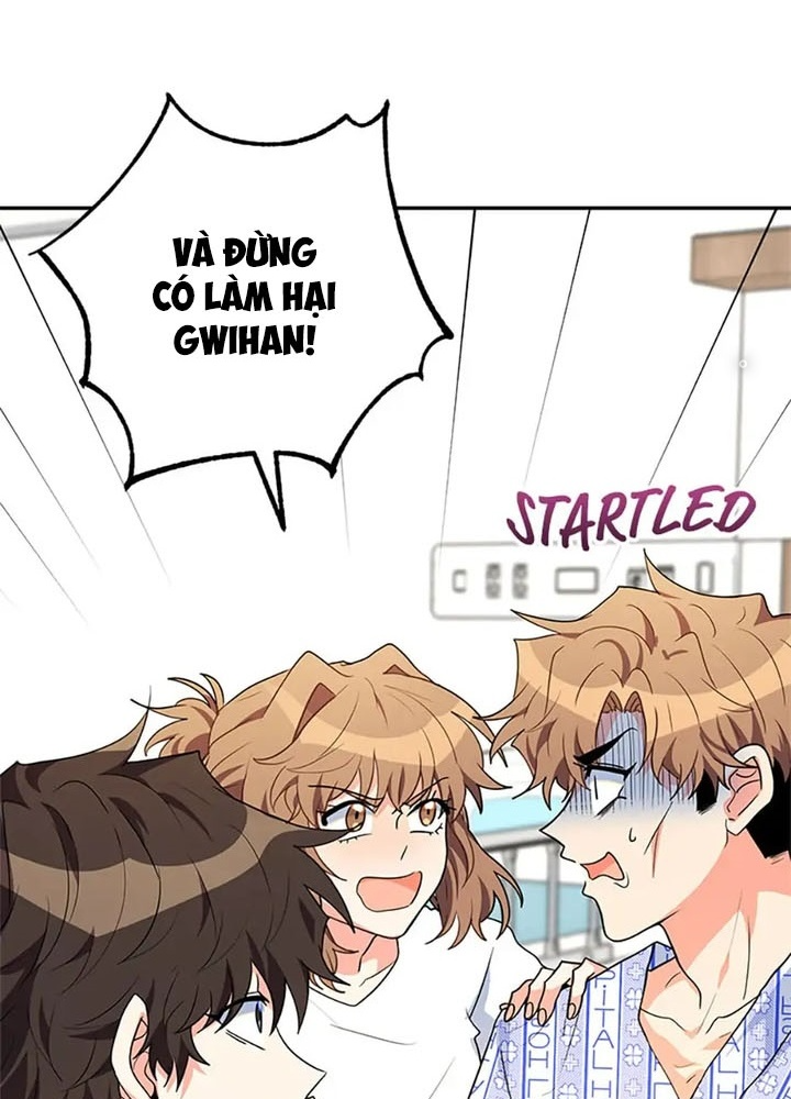 Anh Em Của Tôi Đều Là Nhân Vật Chính Chapter 26 - Trang 2