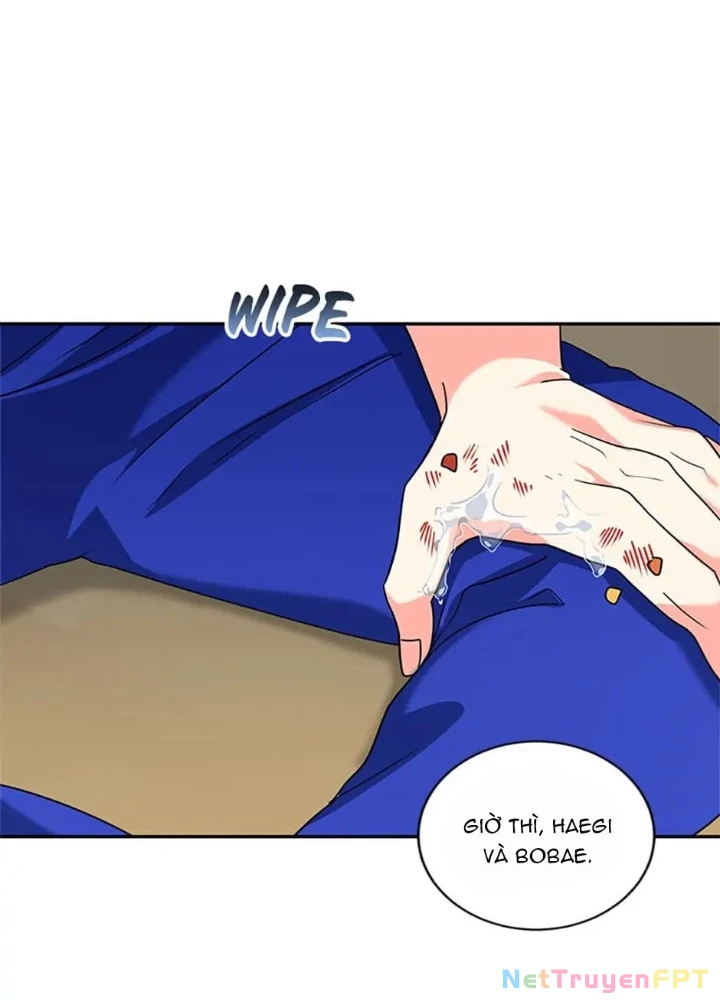 Anh Em Của Tôi Đều Là Nhân Vật Chính Chapter 4 - Trang 2