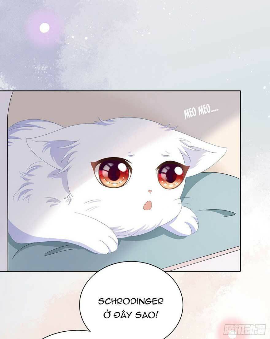 Ảnh Hậu Cũng Không Bằng Niệm Thanh Hoa Chapter 13 - Trang 2