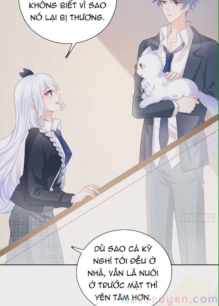 Ảnh Hậu Cũng Không Bằng Niệm Thanh Hoa Chapter 42 - Trang 2