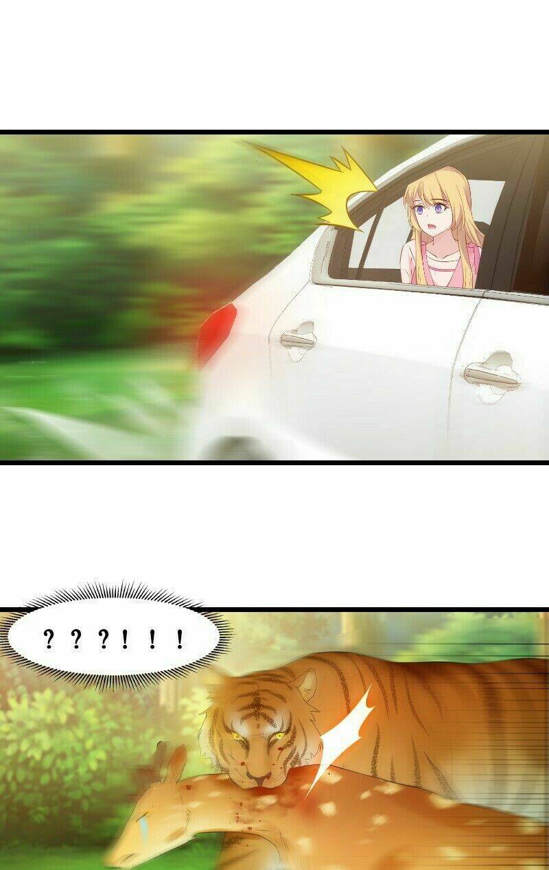 Ảnh Hậu Lão Bà Không Được Chạy Chapter 21 - Trang 2