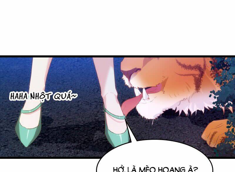 Ảnh Hậu Lão Bà Không Được Chạy Chapter 31 - Trang 2