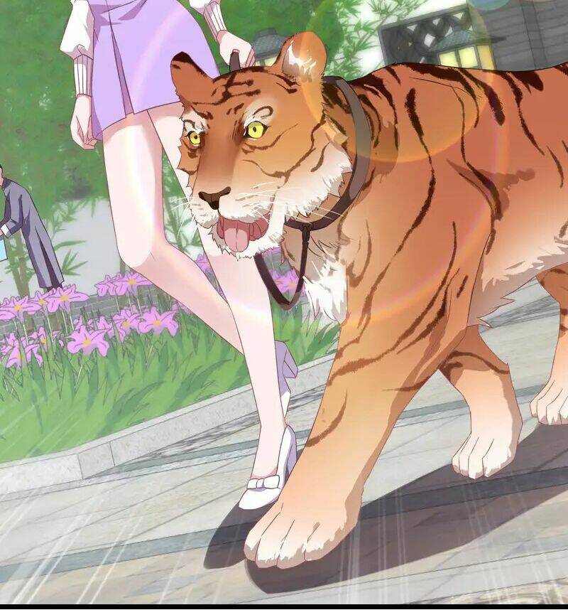 Ảnh Hậu Lão Bà Không Được Chạy Chapter 32 - Trang 2