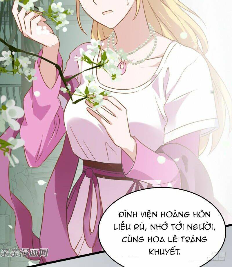 Ảnh Hậu Lão Bà Không Được Chạy Chapter 36 - Trang 2