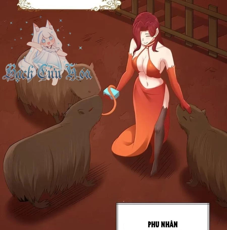 Anh Hùng Giai Cấp Tư Sản Chapter 101 - Trang 2