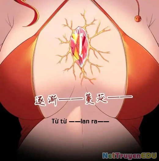 Anh Hùng Giai Cấp Tư Sản Chapter 102 - Trang 2