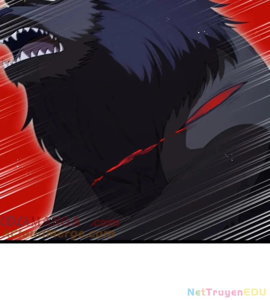 Anh Hùng Giai Cấp Tư Sản Chapter 107 - Trang 2