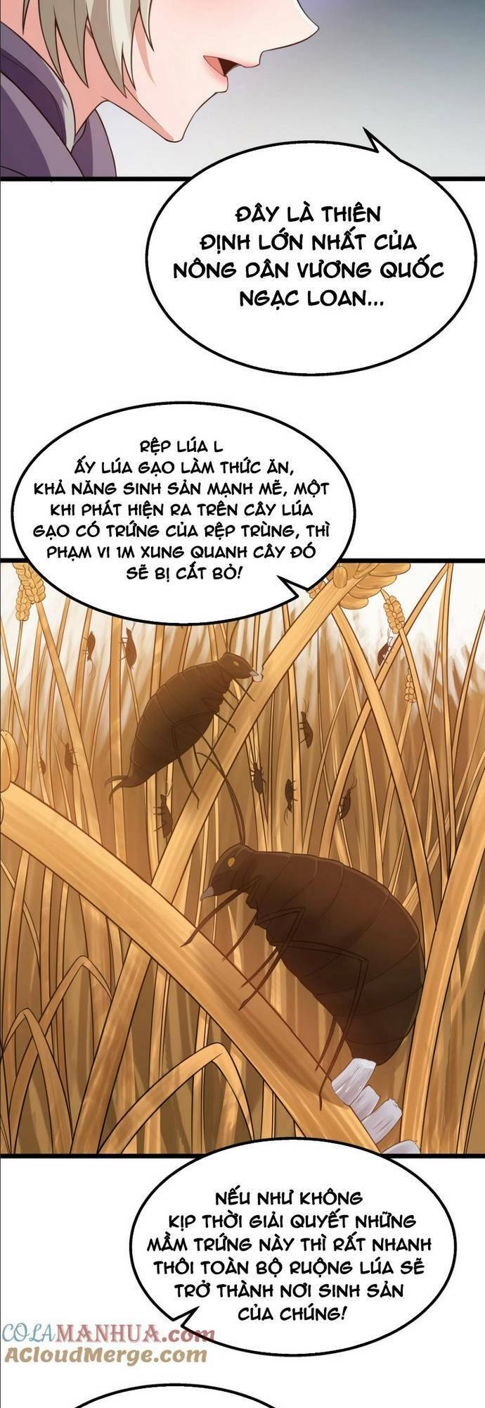 Anh Hùng Giai Cấp Tư Sản Chapter 22 - Trang 2