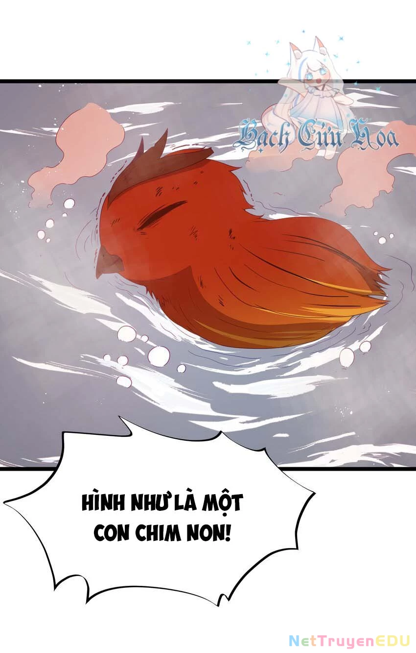 Anh Hùng Giai Cấp Tư Sản Chapter 45 - Trang 2