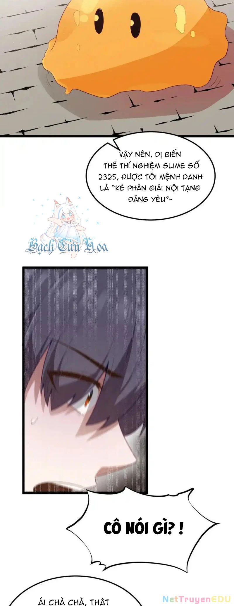 Anh Hùng Giai Cấp Tư Sản Chapter 55 - Trang 2