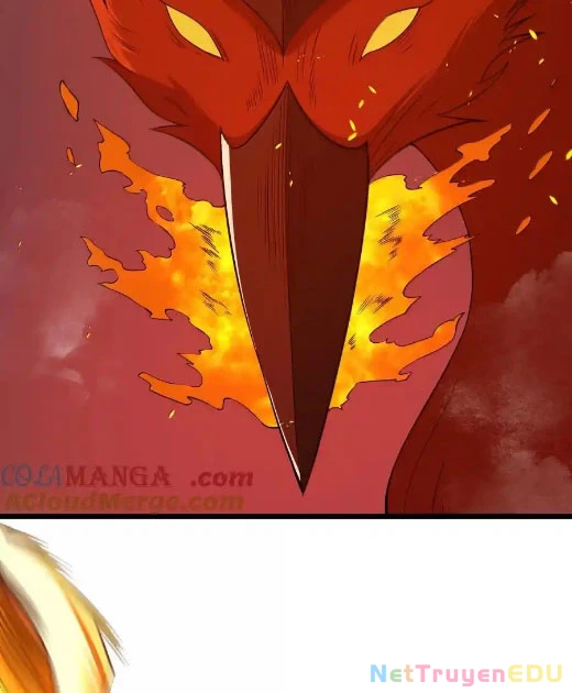 Anh Hùng Giai Cấp Tư Sản Chapter 94 - Trang 2