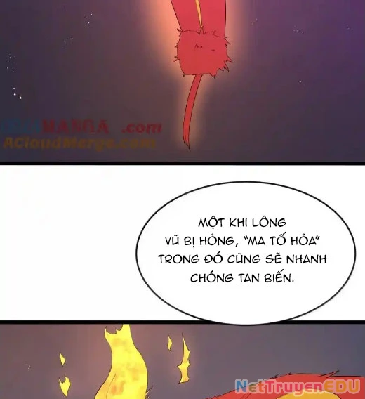 Anh Hùng Giai Cấp Tư Sản Chapter 94 - Trang 2