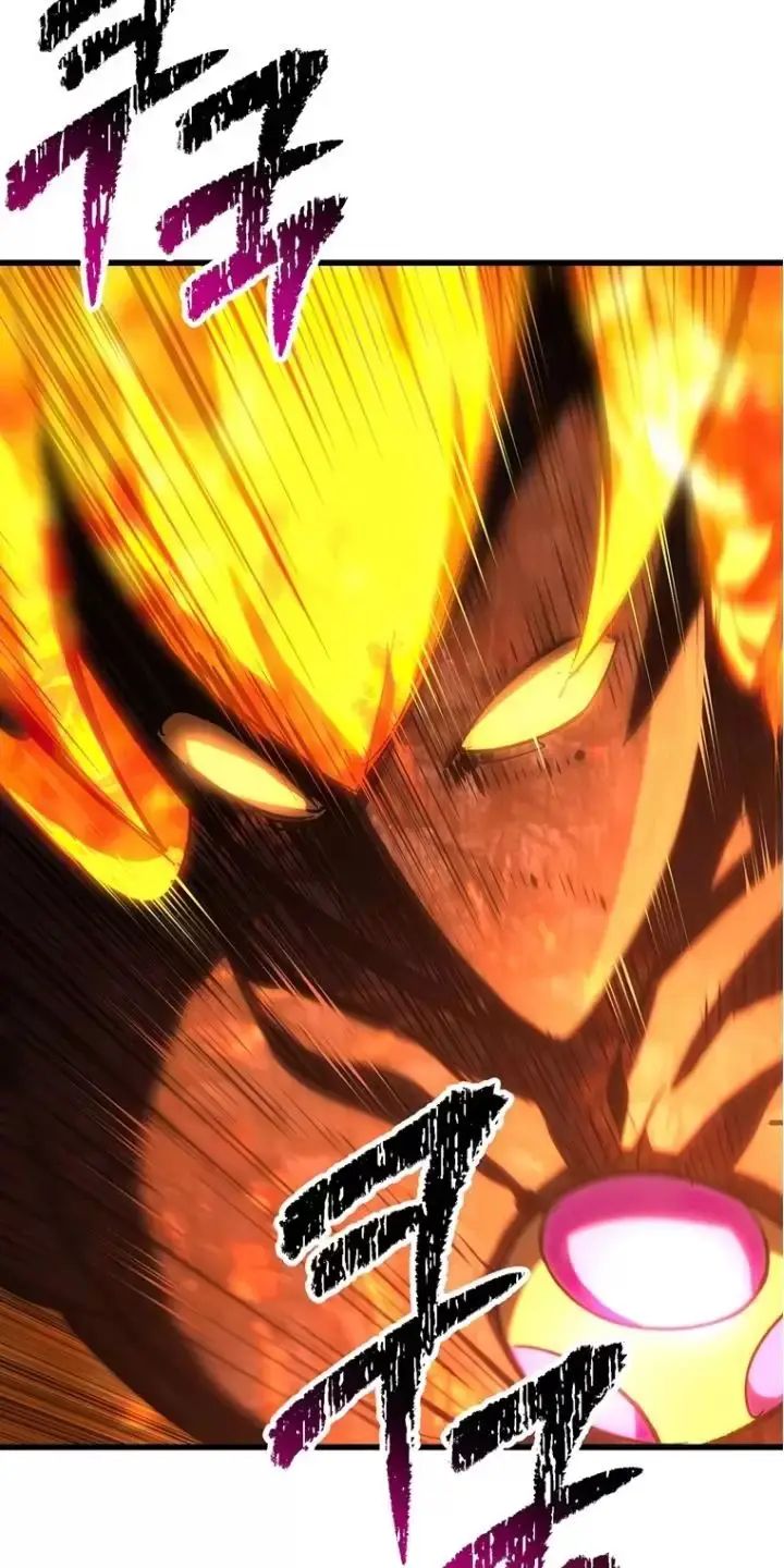 Anh Hùng Mạnh Nhất? Ta Không Làm Lâu Rồi! Chapter 167.1 - Trang 2