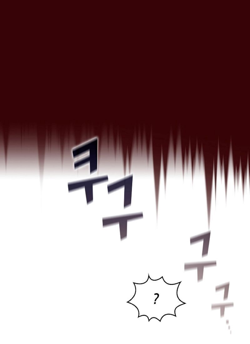 Anh Hùng Rác Rưởi Chapter 62 - Trang 2