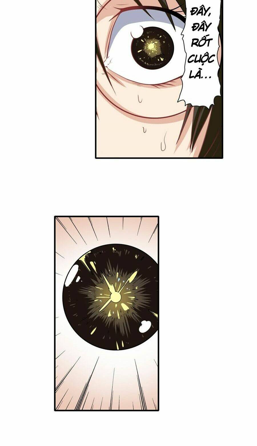 Anh Hùng? Ta Không Làm Lâu Rồi Chapter 133 - Trang 2