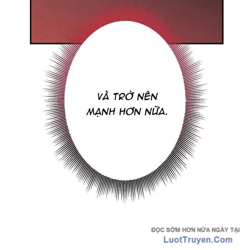 Anh Hùng Tái Xuất Học Viện Chapter 26 - Trang 2