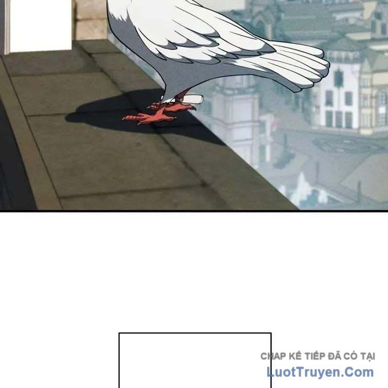 Anh Hùng Tái Xuất Học Viện Chapter 36 - Trang 2