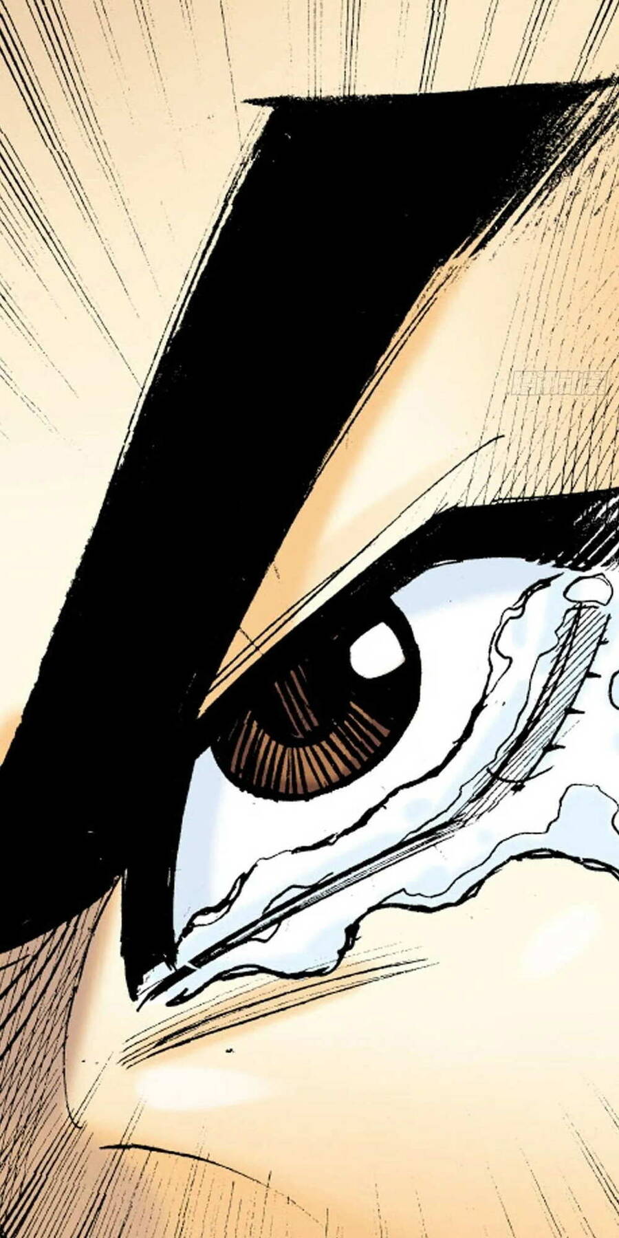 Anh Hùng Thập Bát Chapter 52 - Trang 2