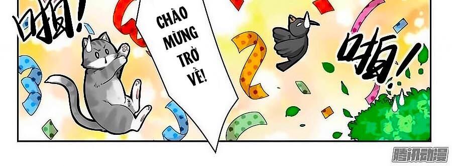 Anh Là Phiền Phức Của Em Chapter 19 - Trang 2