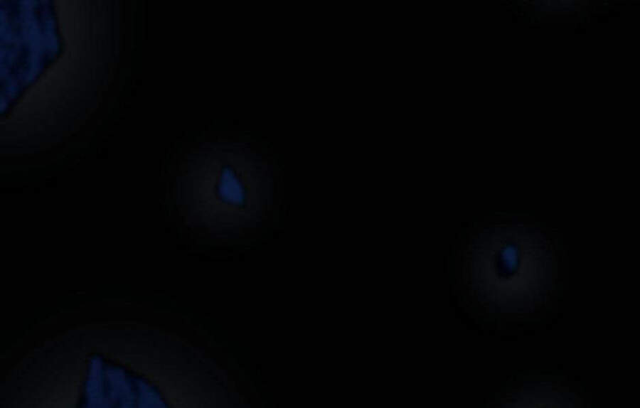 Ánh Sáng Cuối Con Đường Chapter 118 - Trang 2