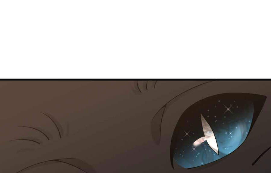 Ánh Sáng Cuối Con Đường Chapter 121 - Trang 2