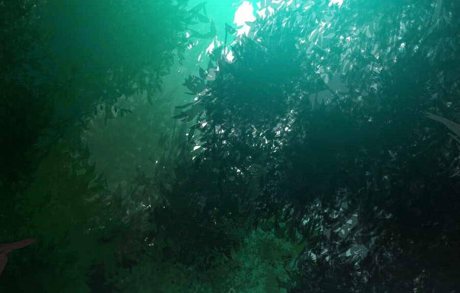 Ánh Sáng Cuối Con Đường Chapter 128 - Trang 2