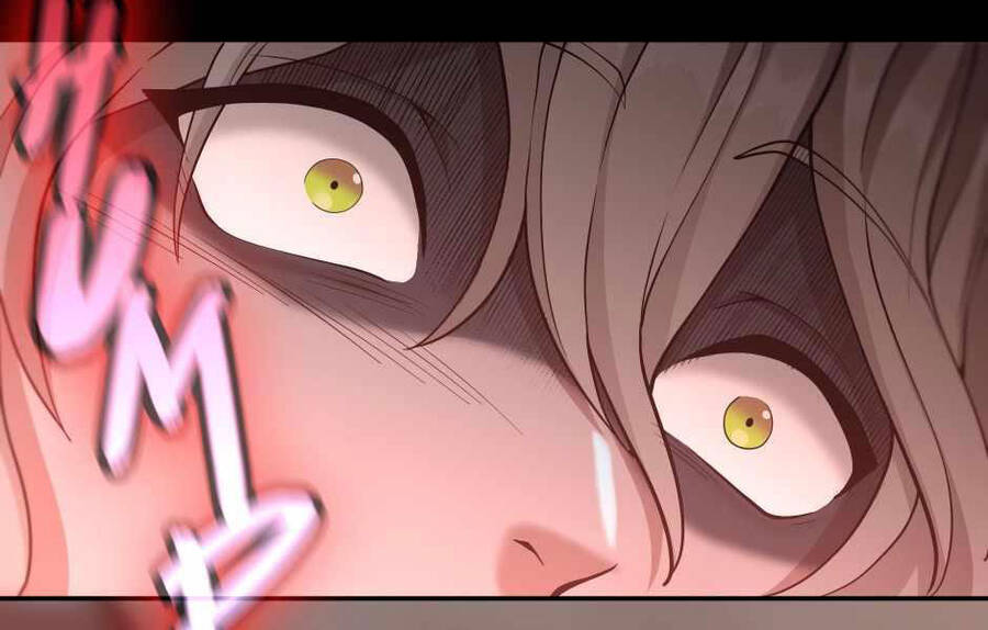 Ánh Sáng Cuối Con Đường Chapter 132 - Trang 2