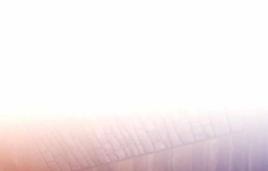 Ánh Sáng Cuối Con Đường Chapter 132 - Trang 2