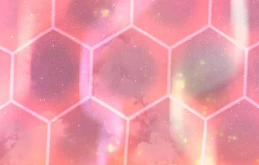 Ánh Sáng Cuối Con Đường Chapter 134 - Trang 2