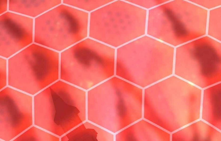 Ánh Sáng Cuối Con Đường Chapter 136 - Trang 2