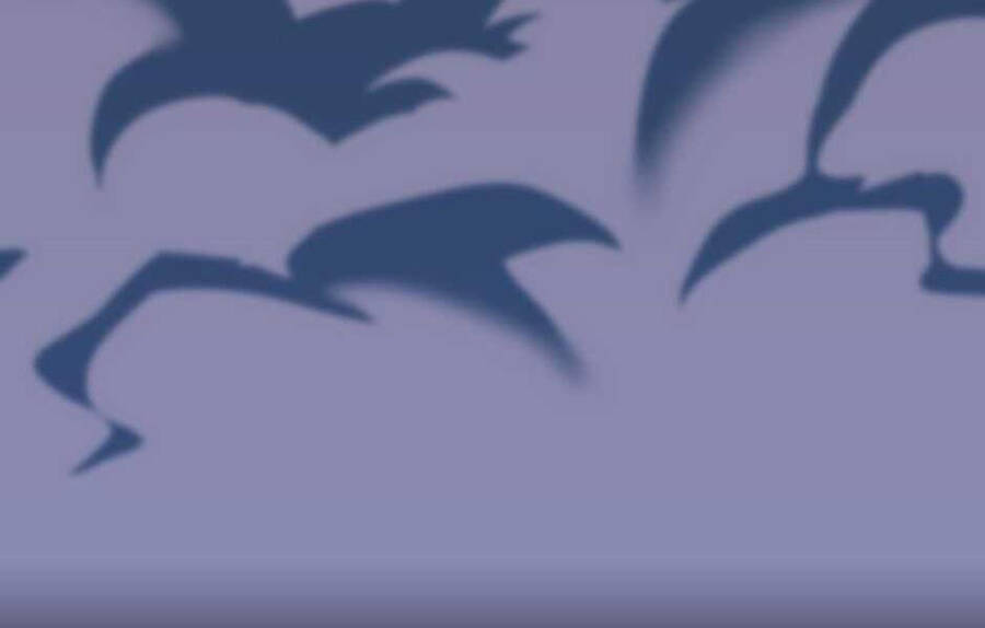 Ánh Sáng Cuối Con Đường Chapter 140 - Trang 2