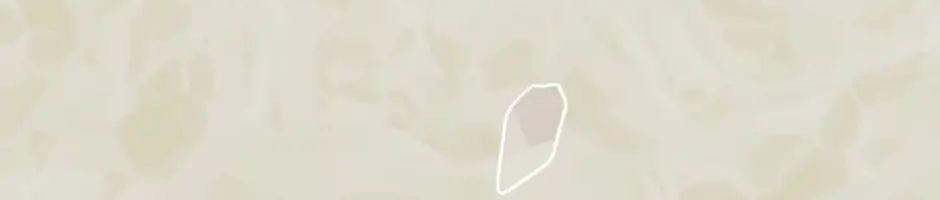 Ánh Sáng Cuối Con Đường Chapter 15 - Trang 2