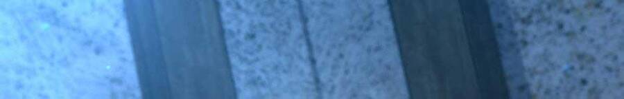 Ánh Sáng Cuối Con Đường Chapter 158.1 - Trang 2