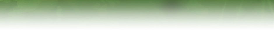 Ánh Sáng Cuối Con Đường Chapter 31.5 - Trang 2