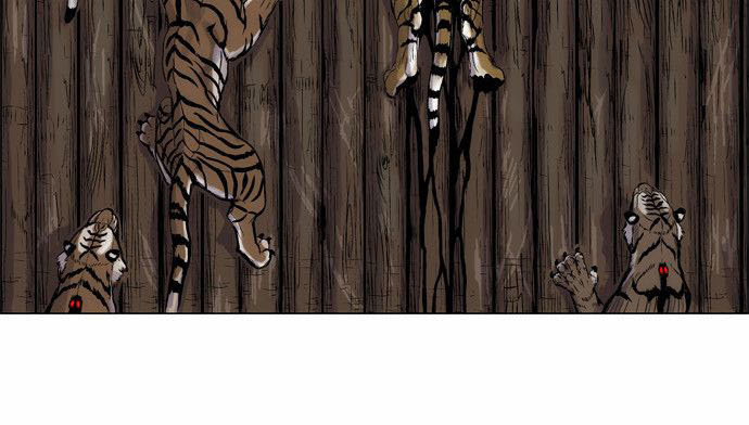 Anh Trai Tôi Là Hổ Chapter 2 - Trang 2