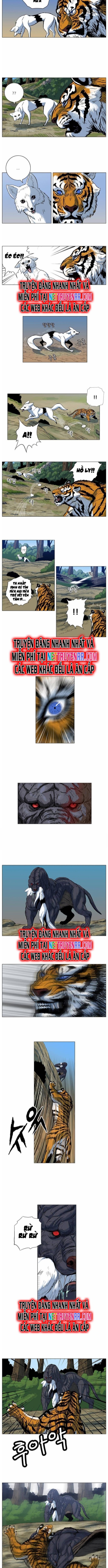 Anh Trai Tôi Là Hổ Chapter 38 - Trang 2