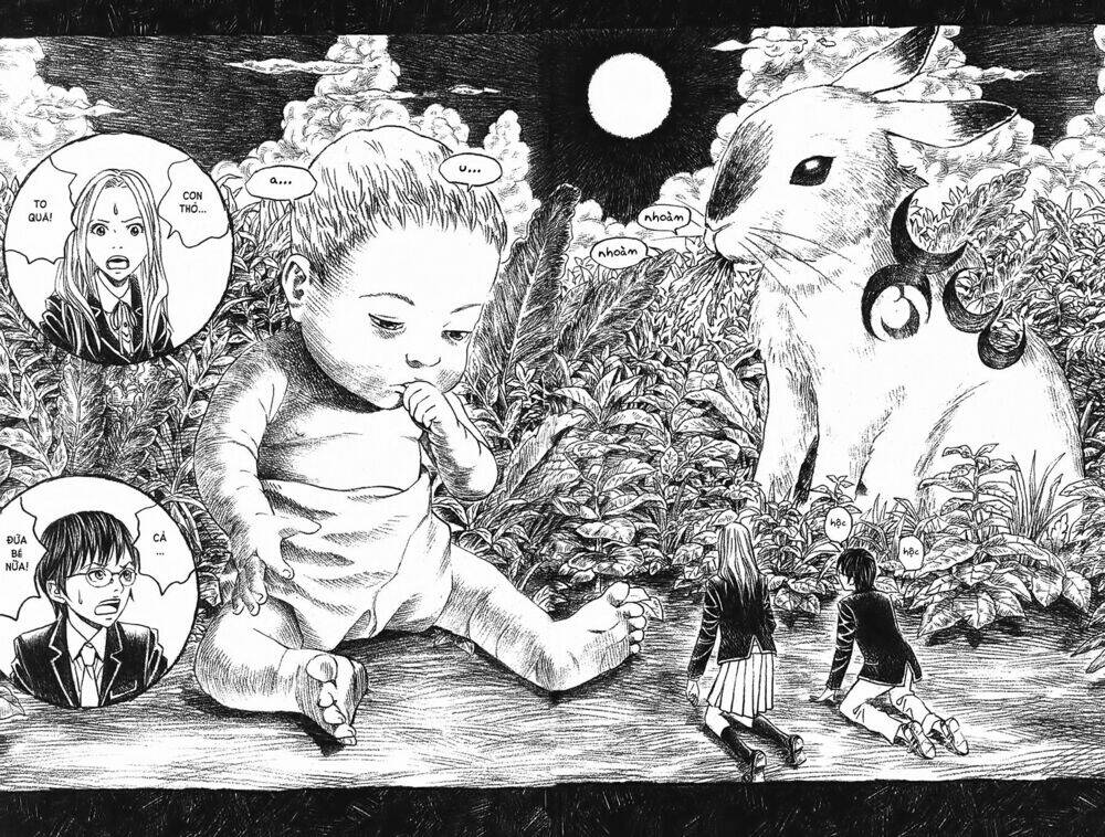 Ảo Ảnh Picasso Chapter 2 - Trang 2