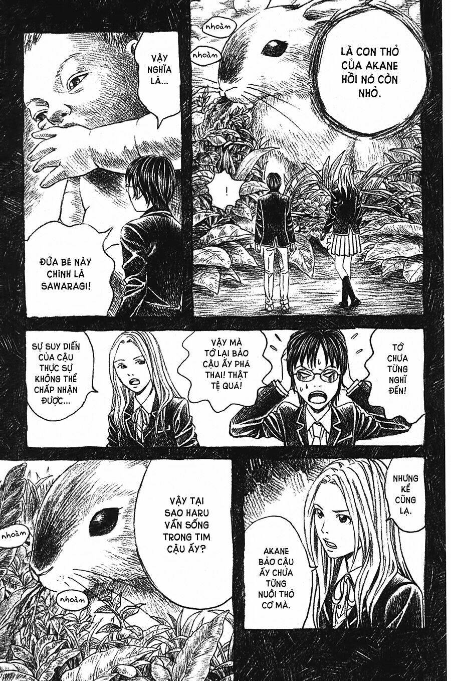 Ảo Ảnh Picasso Chapter 2 - Trang 2