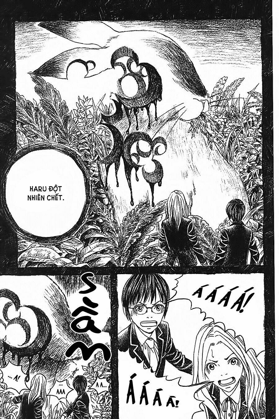 Ảo Ảnh Picasso Chapter 2 - Trang 2