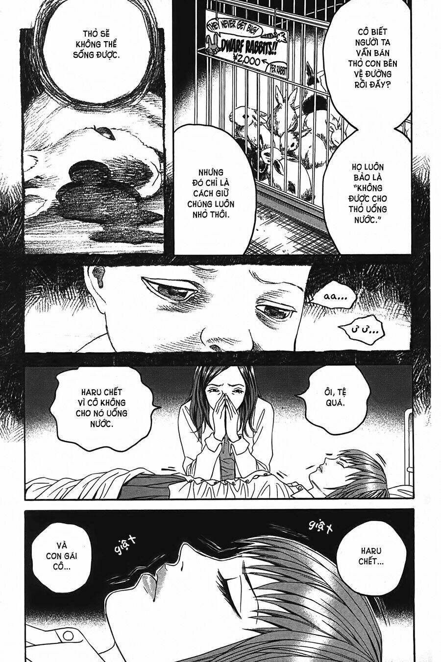 Ảo Ảnh Picasso Chapter 2 - Trang 2