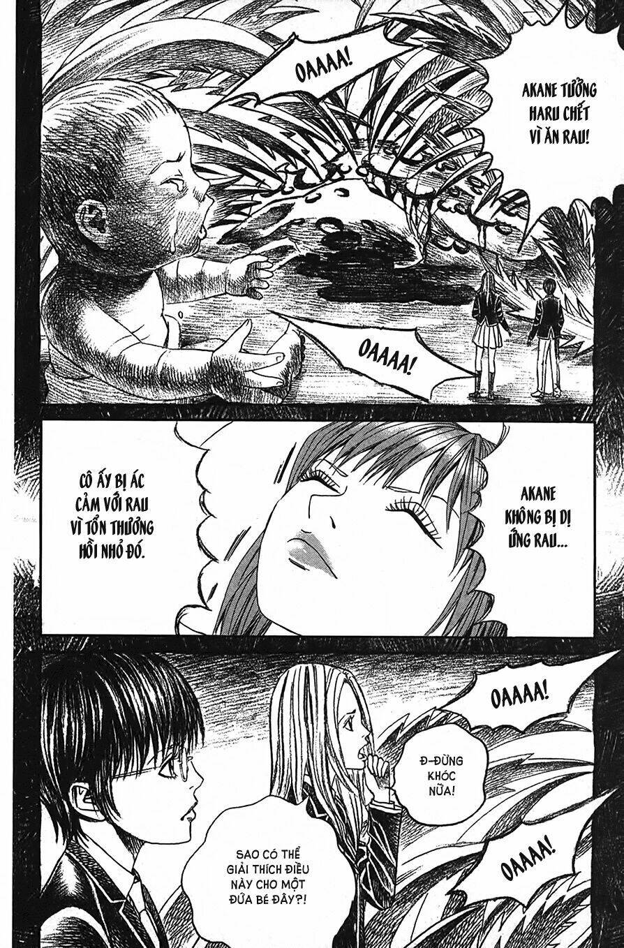 Ảo Ảnh Picasso Chapter 2 - Trang 2