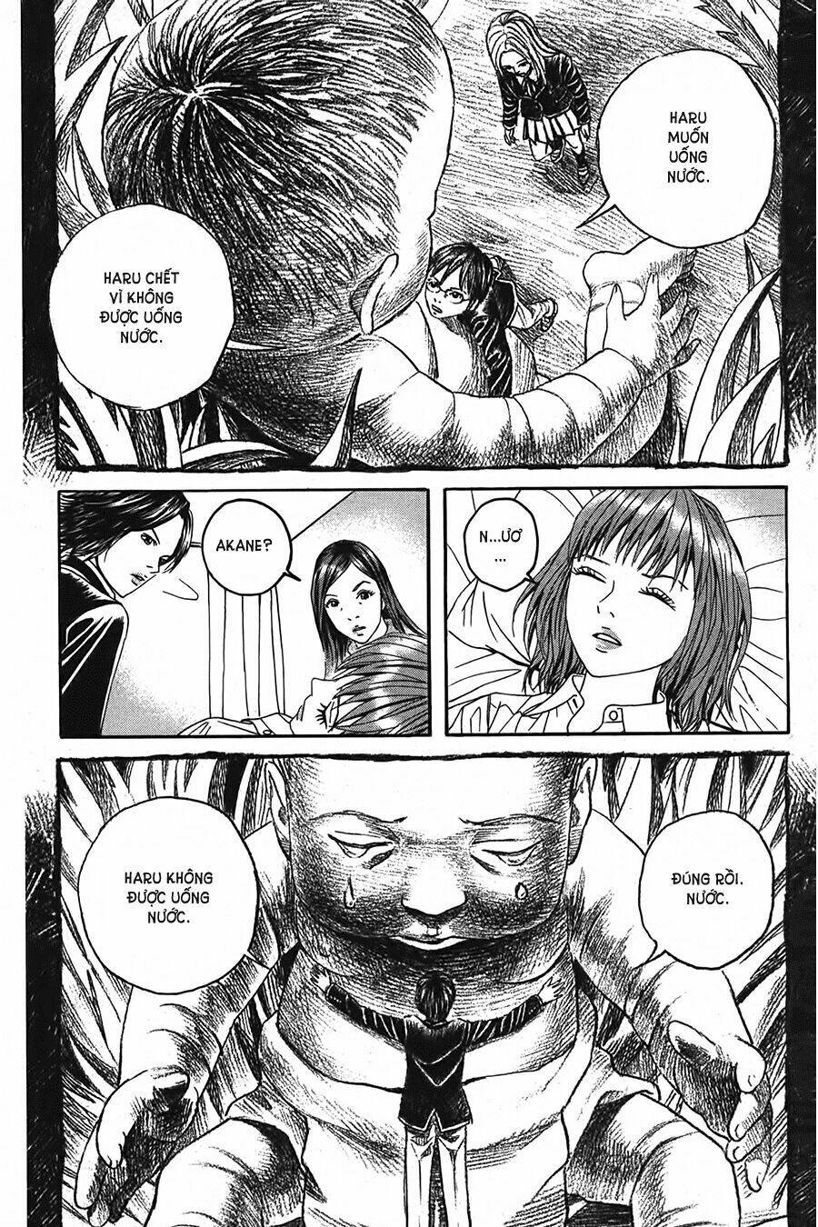 Ảo Ảnh Picasso Chapter 2 - Trang 2