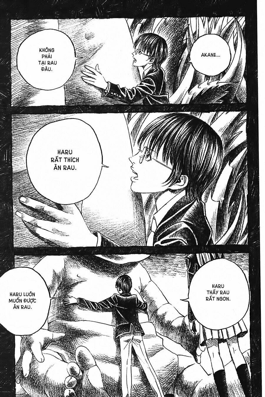 Ảo Ảnh Picasso Chapter 2 - Trang 2