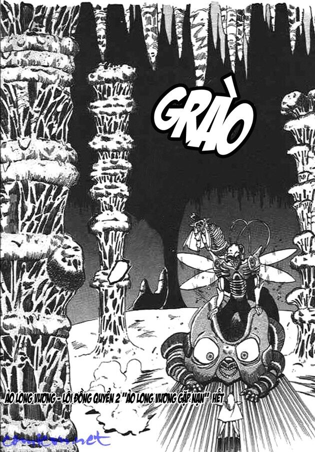 Ảo Long Vương Chapter 14 - Trang 2