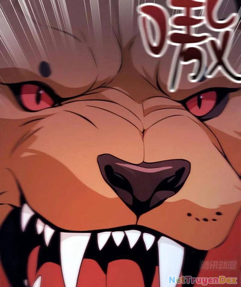 Ảo Ma! Ta Mở Lớp Huấn Luyện Nữ Đế! Chapter 65 - Trang 2